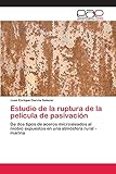  Estudio de la ruptura de la película de pasivación: De dos tipos de aceros microaleados al niobio expuestos en una atmósfera rural - marina