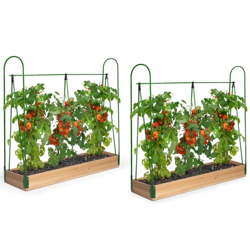 Serres à tomates modulables avec bâche de protection pour optimiser vos récoltes