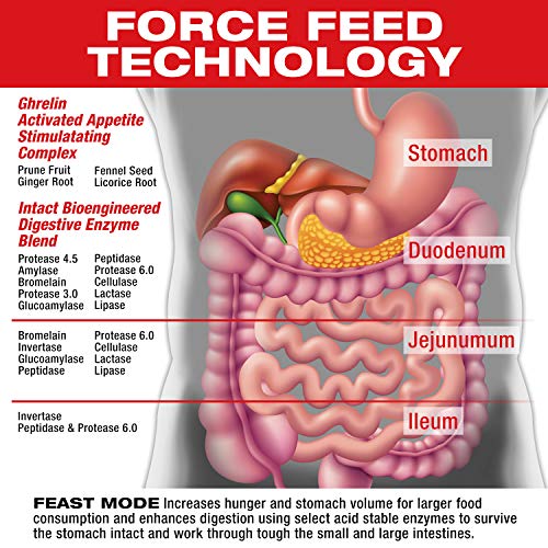 Musclemeds Feast Mode Appetite Stimulant Weight Gain Pills Digestive Enzymes Safe And Effective 90 Caps thumb #2
