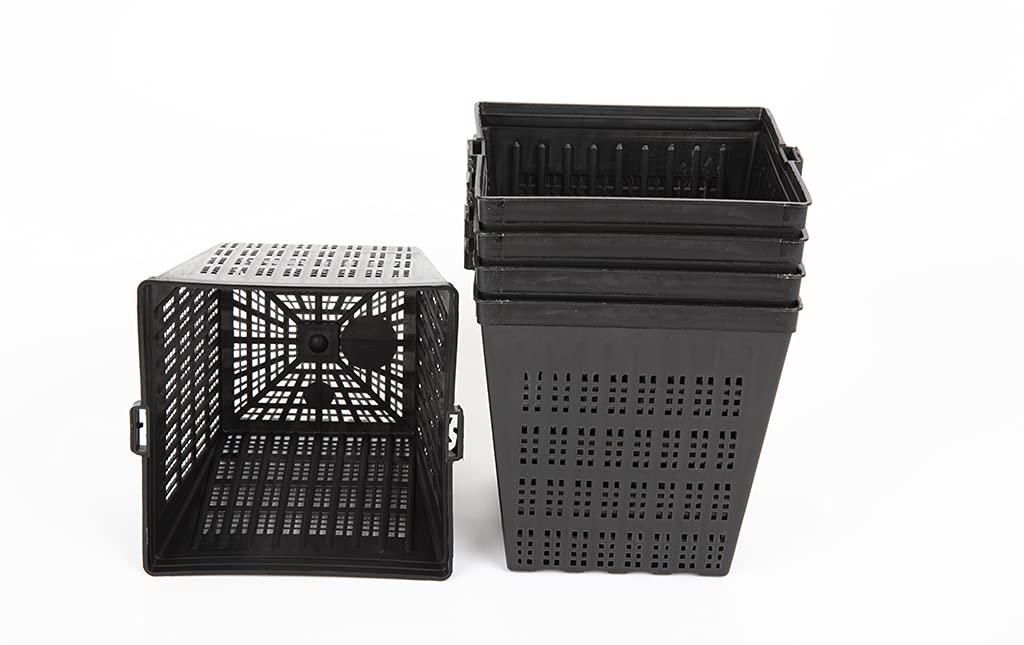 Lincolnshire Pond Plants Ltd Pond Planting Aquatic Basket Packs - 1 Litre - 11cm Square Pots x 2