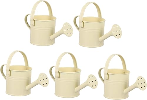 Yardenfun 5 unids regadera de estaño beige Cubo de riego de flores Cubo de pulverización galvanizado Cubo de riego para niños Hervidor pequeño