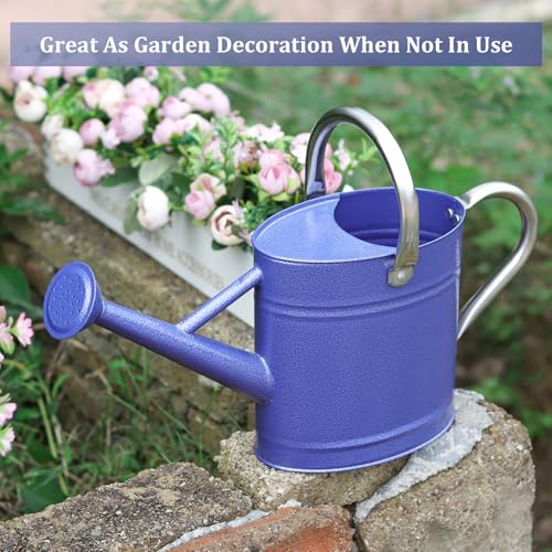 Watering Can for Outdoor Plants&Indoor Plants,Plant Watering Can 1 Gallon,Metal Flower Garden Watering Can Water Can Watering Pot,Galvanized Steel Watering Can(Navy)