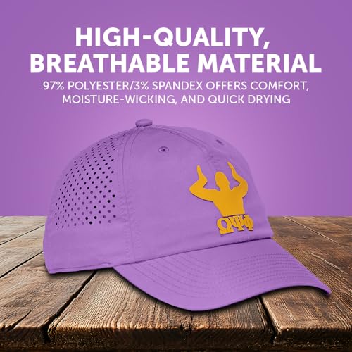 Gorra snapback Desert Cactus Omega Psi Phi miniatura 4