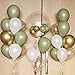 62Pcs Sage Green Balloons Kit Eucalyptus Pearl White Gold Confetti Balloon Wedding Decorations Baby Shower Decoration Birthday Party Decorations Children's Forest Party with 2 Ribbons(12inch)… 62Pcs Sage Green Balloons Kit Eucalyptus Pearl White Gold Confetti Balloon Wedding Decorations Baby Shower Decoration Birthday Party Decorations Children's Forest Party with 2 Ribbons(12inch)…