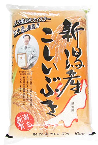 yāz cč VY Ԃ rj[ 10kg ߘa6NY