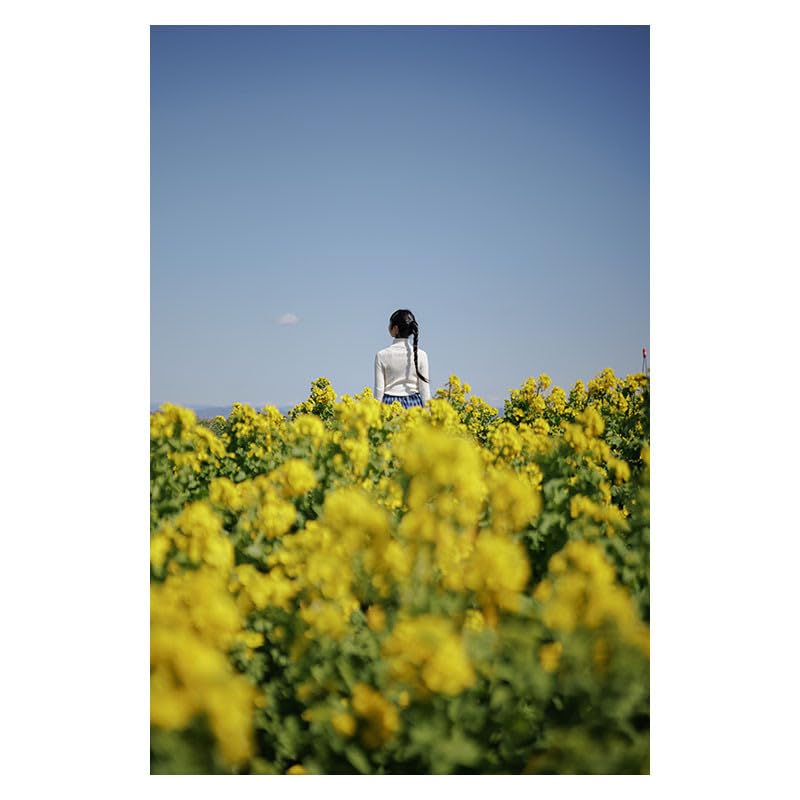 Image of Sigma 17-40mm f /1.8 DC Art Lens for Sony E Mount Mirrorless Cameras