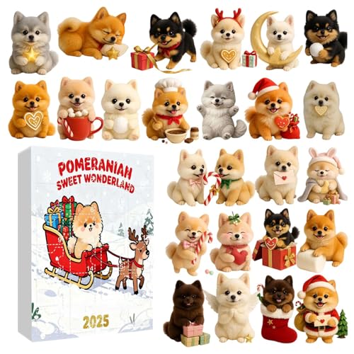 NX}X Ahxg gC 2025,񎟌tbgANI[ig - 24  I[ig Ahxg J_[,j j̎q ̎q  eB[Y  v q  Ƒ FB