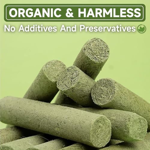 Simsky Katzenminze Sticks für Zahnpflege, 6 Stück, Kausticks für Katzen Zahnstein & Mundgeruch intelligenzspielzeug (Grün)