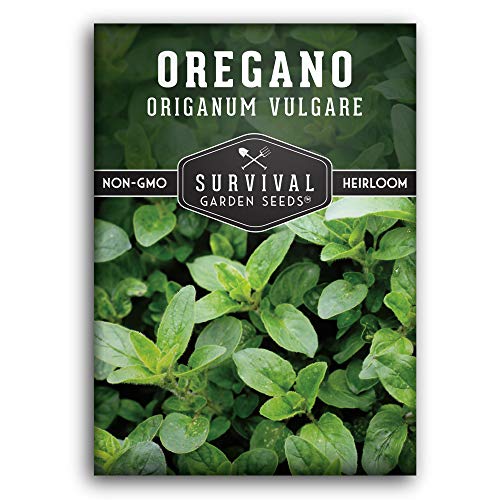Oregano Seeds for Planting - Origanum Vulgare Culinary Herb for Italian Dishes - Grow Indoors or Outdoors for Fresh Flavor and Pollinators - Heirloom Non-GMO - Survival Garden Seeds (1 Pack)