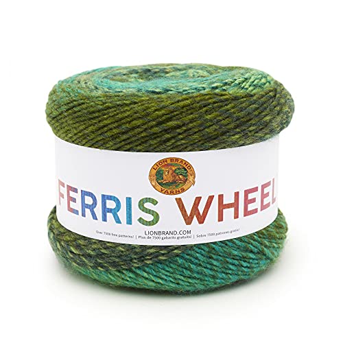 Lion Brand Yarn, Muticolor Ferris Wheel Yarn for Knitting, Crocheting, and Crafts, Evergreen, 1 Pack