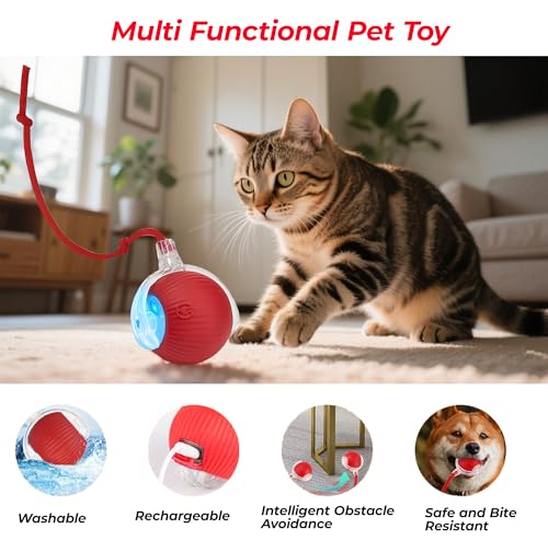 2-Pack Interactive Cat Toys Ball - 2025 New Gen with 360° Auto-Rotation Smart Obstacle Avoidance & Auto Wake-Up,Includes 2 Speedy Tail 2.0 Ropes, Ideal Kitten Toys for Bored Indoor Cats (Red & Green)