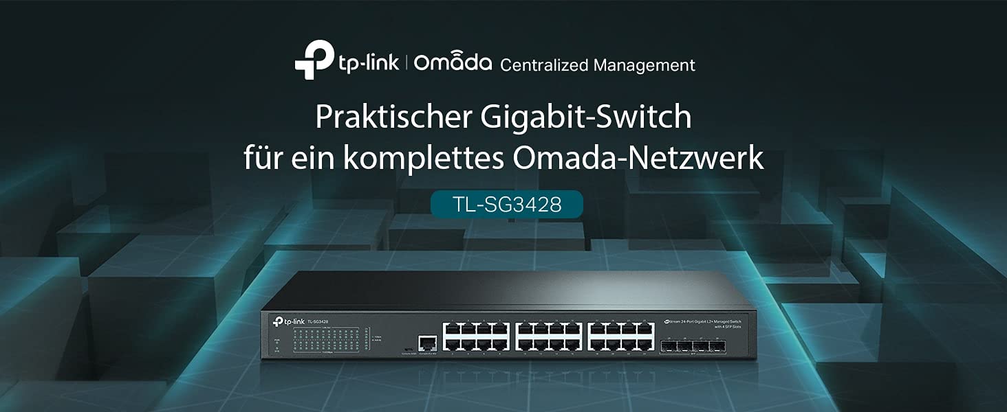 TP-Link TL-SG3428 24-Port Gigabit L2 Managed Netzwerk LAN Switch mit 4 SFP-Slots, schwarz & MC220L Gigabit-Ethernet-Medienkonverter (802.3ab, 802.3z, Hot-Swap) schwarz metallic