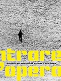 Entrare nellopera: Processes and Performative Attitudes in Arte Povera
