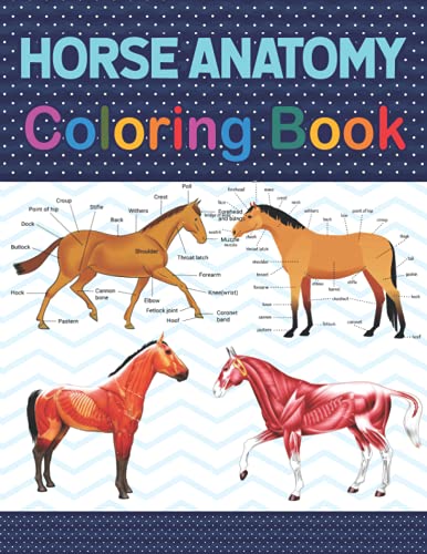 Horse Anatomy Coloring Book: Introduction to...