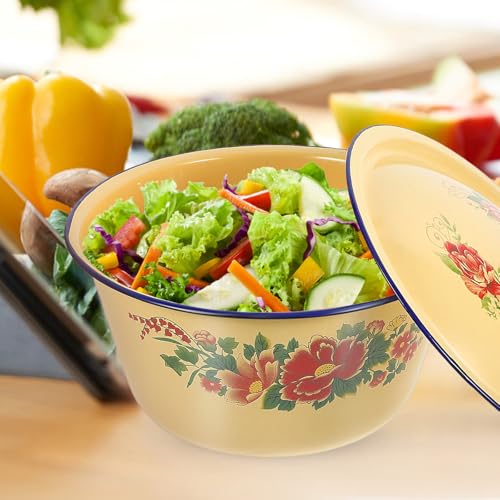 Casserole Émaillée Spéciale Cuisson Lente pour Éviter la Dissipation Chaleur Marmite Économe