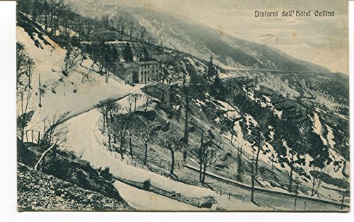 1931 Dintorni dell' Hotel Collina f.lli Signorini