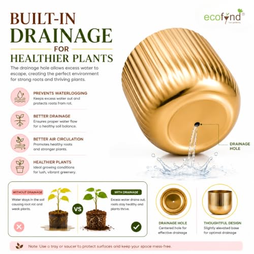 Image of ecofynd 1 Pack Metal Plant Pot (6.3 inch), Indoor Small Planter Flower Pots, Home Garden Decor Planter for Living Room Bedroom Interior (Gold Finish, POT047)
