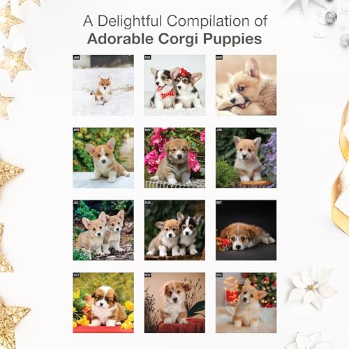 Image of RED EMBER Corgi Puppies 2026 Wall Calendar 12 Month | 12 inch x 24 inch Open | Thick & Sturdy Paper | Giftable | Cute Puppy Dog Calendar 2026