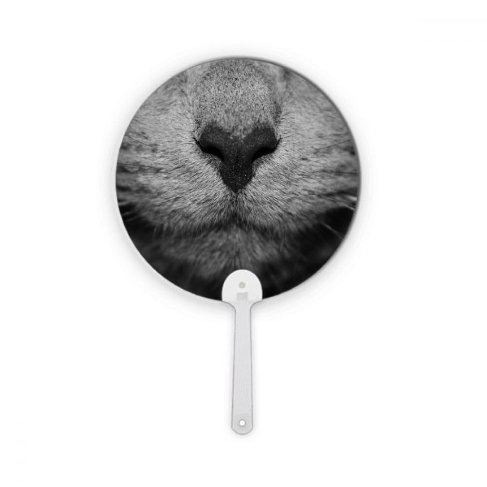Photographie de chat sur plastique rond de haute précision artisanale