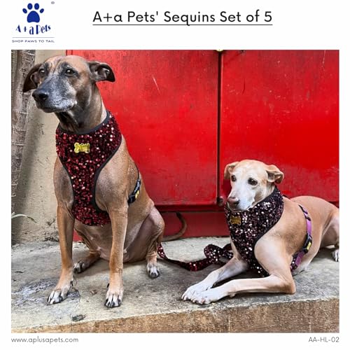 Image of A+a Pets' Sequins Set of 5- Harness, Leash, Collar, Bow & Poo Bag Pouch for Dogs and Cats (XL, Red)