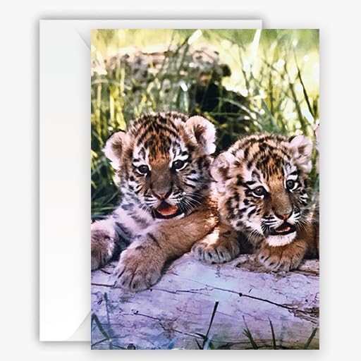 Adorable Tiger Cubs Greeting Card- Larger Size 5x7 inch - Blank Inside for All Occasions- Unique Wildlife Photography Card for Nature Big Cat & Animal