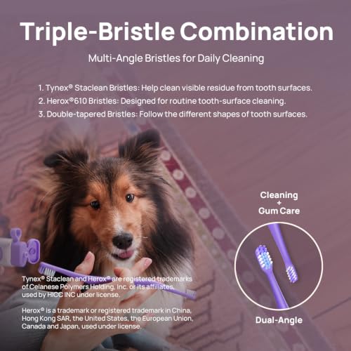 Image of HICC PET Dual-Head Toothbrush for Dogs & Large Cats, Easy Teeth Cleaning | Large and Small Brush Heads with A 16 Handle for Easy Teeth Cleaning for Dogs and Large cats. Toothpaste Not Included.