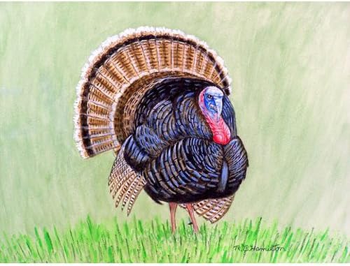 Betsy Drake DM512G Wild Turkey Door Mat 30 x 50