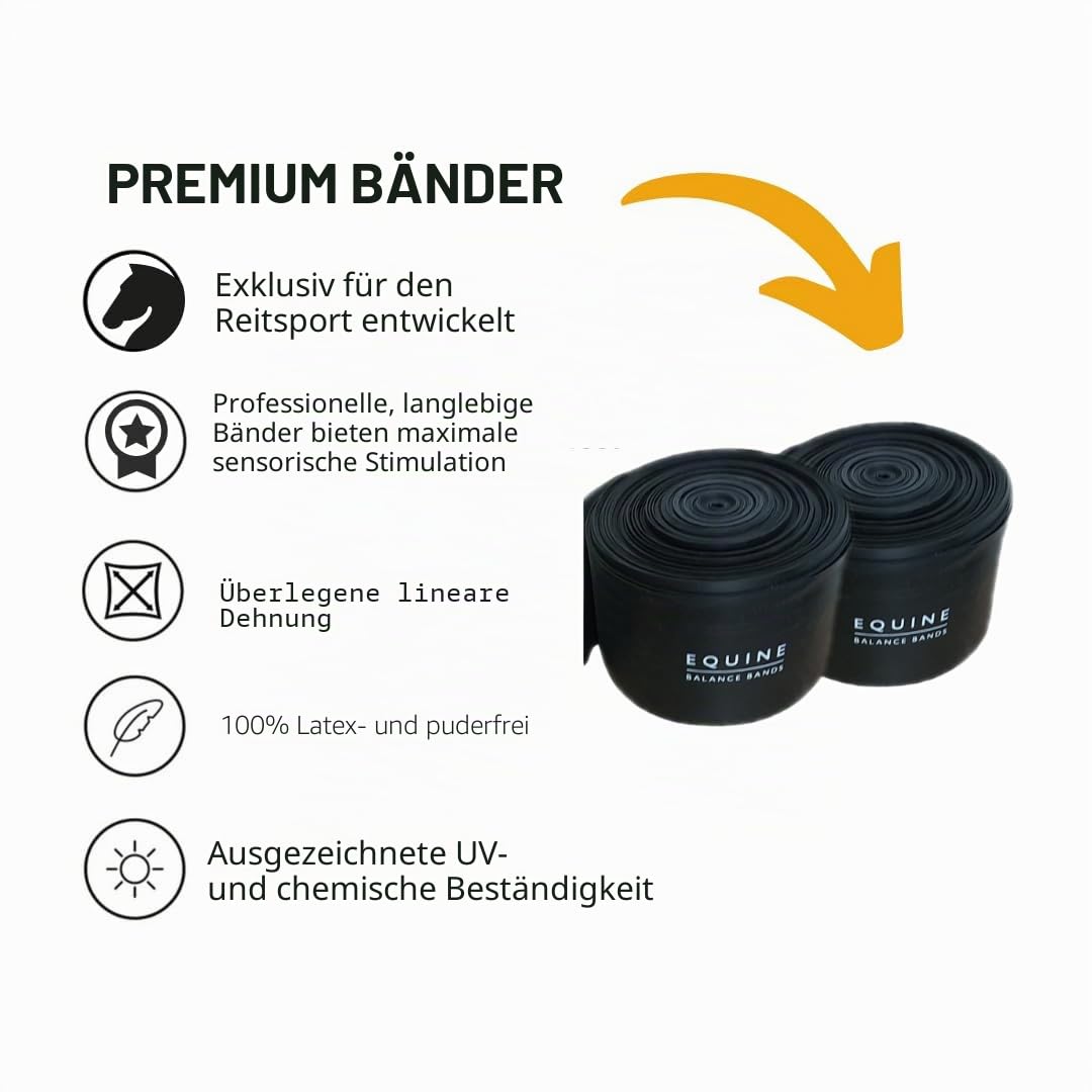 Equine Band System - Dressur Core Conditioning Trainingshilfe für Pferde mit Pro Grade Pferdephysiobändern und Dressurschabracke von Equine Balance Bands.