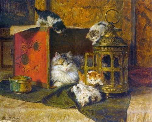 Kit broderie point de croix Chatons Jouant 14CT toile pré-imprimée 60x80cm pour adulte débutant