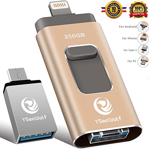 iPhone Flash Drive for iPhone 256GB 4 in 1 USB Flash Drive Type