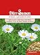 Dürr-Samen Wiesen-Gänseblümchen