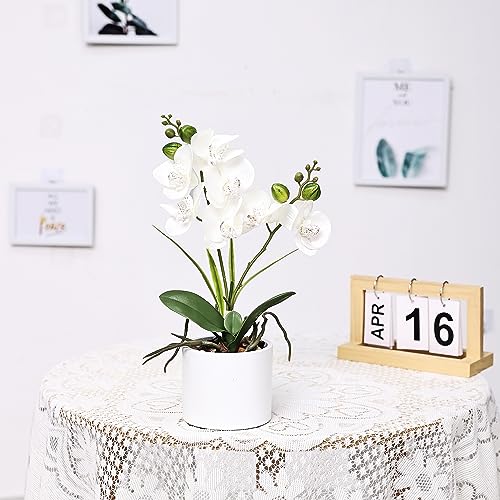Jusdreen JSP004-001 1 Pcs Ceramic Vase Artificial Orchid Flower Bonsai Vivid Phalaenopsis Flowers Potting thumb #3