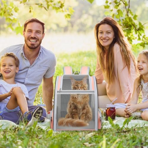 Sac à dos pour chat portable et stable pour le voyage des animaux