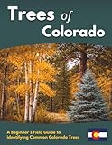 Trees of Colorado: A Beginner’s Field Guide to identifying Common Colorado Trees
