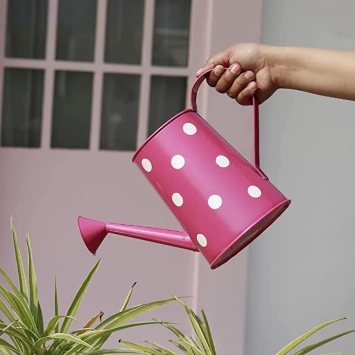 Bhartiye Art Watering Cane 2 litres (Pink) (B0B782JGHB) Amazon Price History, Amazon Price Tracker
