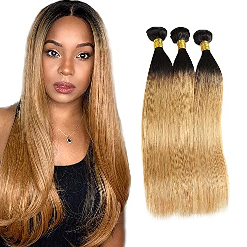 20 22 24 Inch Cheap Ombre Bundles Honey Blonde Human Hair Straight Brazilian Hair 1b/27 Two Tone Ombre Honey Blonde Human Hair Bundles Unprocessed Virgin Remy Ombre Human Hair Extensions Wholesale.