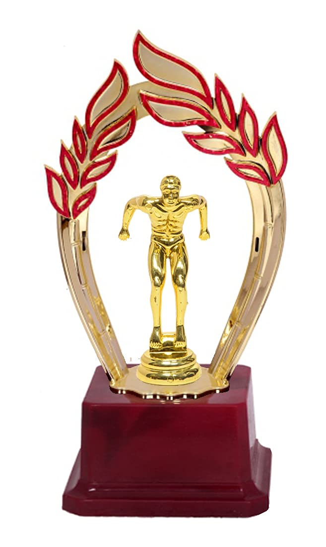 Be Win Winner Golden & Fiber Arch Designed Sports Trophy for Swimming Compitetions & Best Swimmers (B09GY2MGJT) Amazon Price History, Amazon Price Tracker