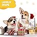 AUAUY Indoor Anti-Rutsch Socken für Hunde und Katzen, Pet Socken, Hundesocken Anti Rutsch Pfotenschutz und Traktion Dank Silikon-Gel 2 Größen für Kleine-Mittlere Tiere(Schwarz M)