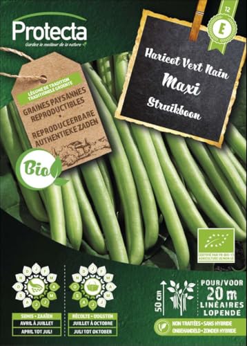 PROTECTA Semence Haricot Vert Nain Maxi BIO