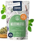 Melissentee (Lemon Balm Tea) Monte Nativo (300g) - Zitronenmelisse Tee schonend getrocknet - 100% natürlich und ohne Zusatzstoffe - Aromatischer Kräutertee für einen köstlichen Aufguss