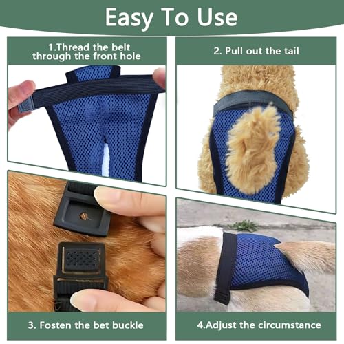 3er Pack Höschen für Hunde Läufigkeit mit 10 Damenbinden, Weich, Atmungsaktiv und Verstellbar Schutzhose Hündin, Wiederverwendbare Periodenhose Hund, Läufigkeitshose, M