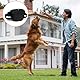 Aomig Leckerlibeutel für Hunde 3Pcs Hundeleckerli mit Trainingsklicker Gürtel Tasche Hundetraining Bauchtasche Gassitasche Futterbeutel Hunde Gassigehen Hundetraining Silikon Trainingstasche Schwarz