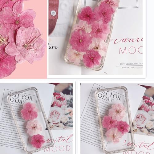 12 flores prensadas secas para manualidades miniatura 5
