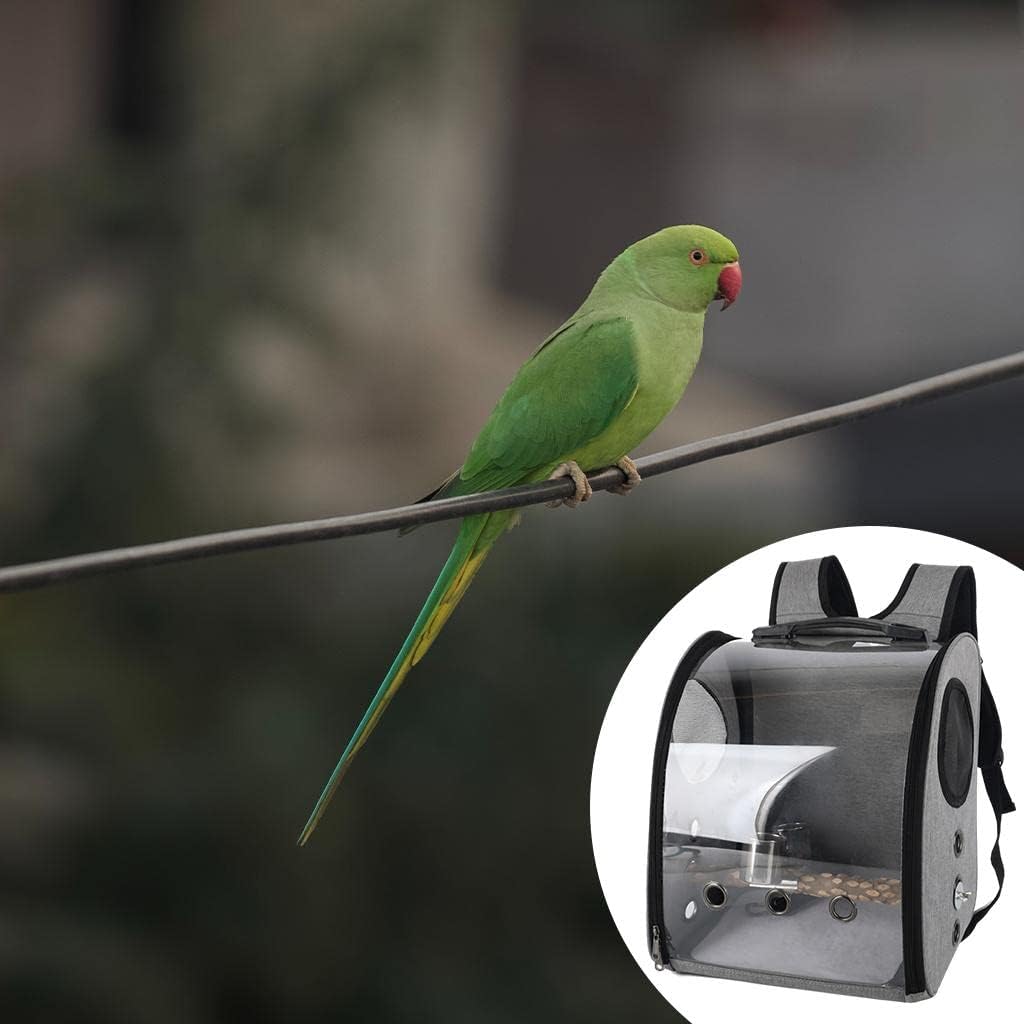 Compact Carrier for Birds with Clear View and Travel Features, Gray