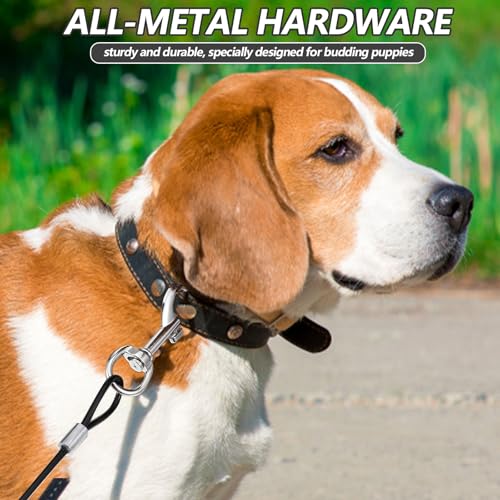 3 Stück Bissfeste Hausleine für Hunde, Hundeleine Verlängerungsseil, Kausichere Hundeleinen, Kausicherfest Hundekette Metall Kabel Leine für Kleine Mittelgroße Hunde (65 cm, Schwarz/Blau/Transparent)