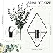 Jexine 4 Pcs Hanging Planters with Artificial Eucalyptus Metal Hanging Vase Indoor Plants Holder Modern Geometric Boho Bathroom Wall Decor for Living Room Home Office(Black)