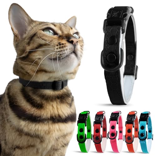 OutdoorBengal Heavy Duty Cat Collar
