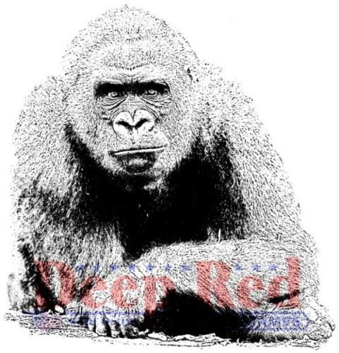 ShopForAllYou Stamping & Embossing Stamps Gorilla Rubber Cling Stamp