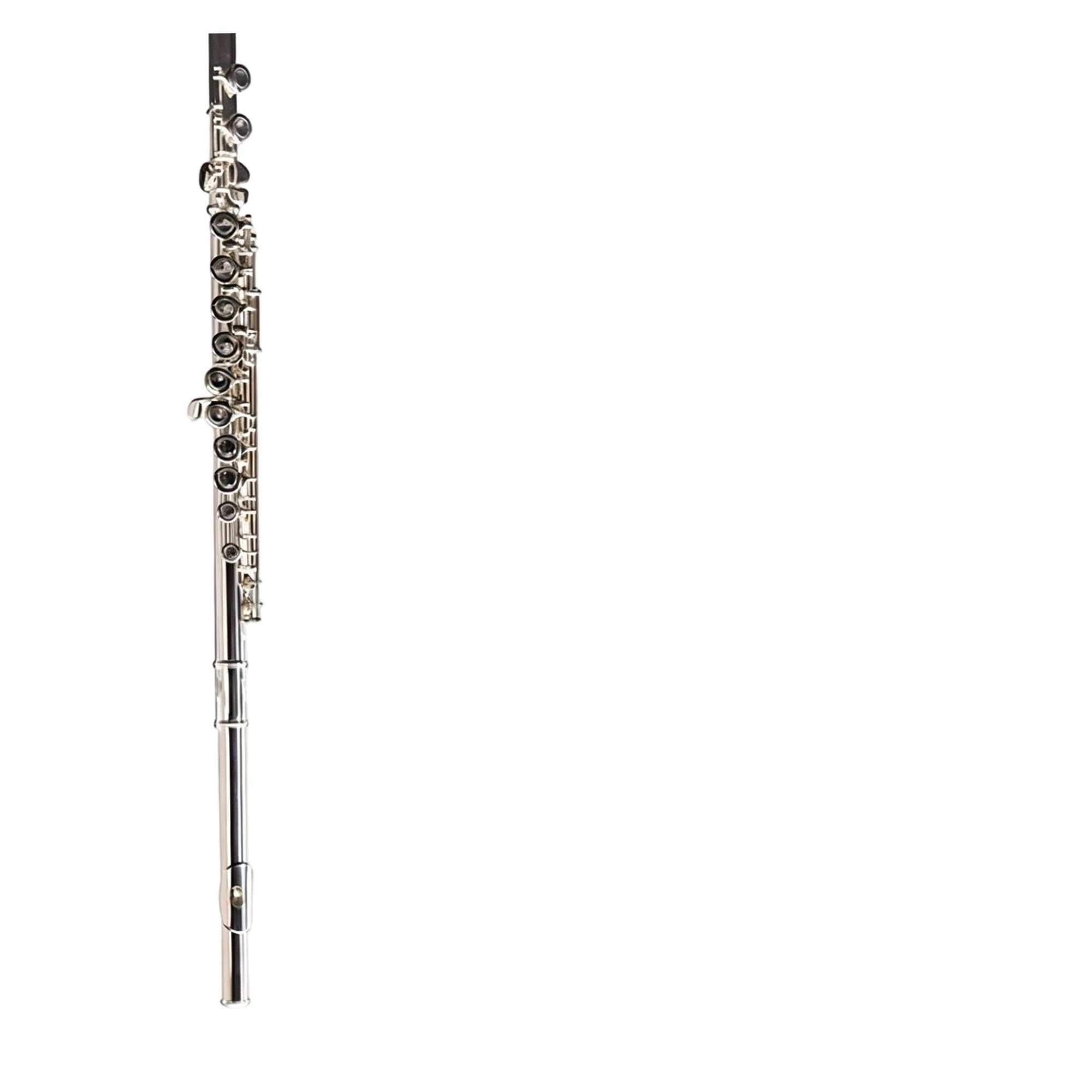 Flute Instruments Profesjonalny flet