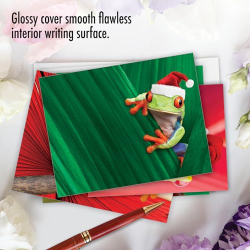Image of The Best Card Company - 10 Blank Animal Christmas Note Cards - Assorted Bulk Holiday Cards for Men and Women, Fun Wildlife (4 x 5.12 Inch) - Yule Frogs M1754XB